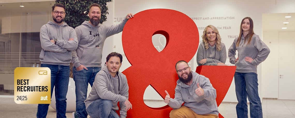 Software Consultant, 1. image